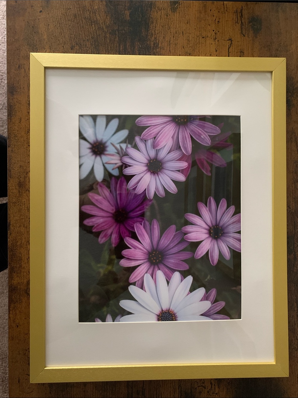 Purple & White Daisy Floral Wall Art in Gold Frame